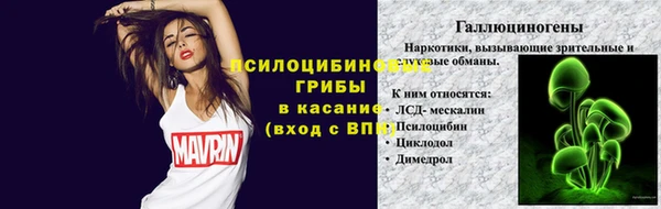 прущие грибы Коряжма