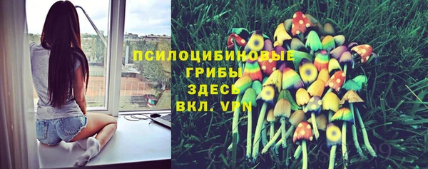 соль курить ск Нязепетровск