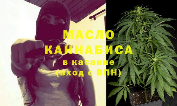 прущие грибы Коряжма