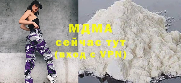 прущие грибы Коряжма