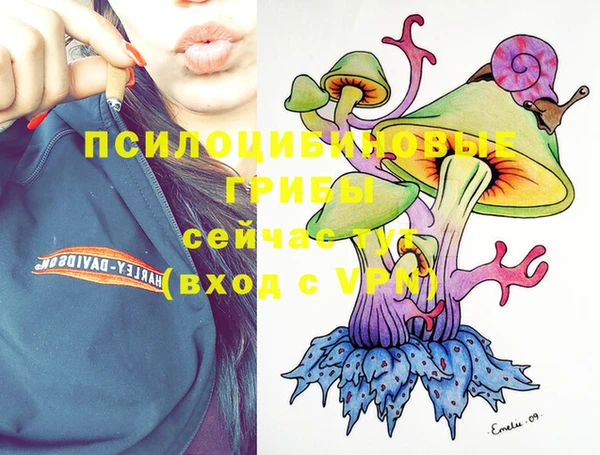 хмурый Кодинск