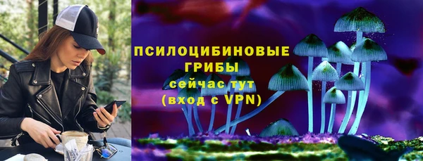 экстази Няндома