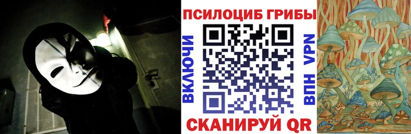 блэк спрут зеркало  Кумертау  Галлюциногенные грибы Cubensis 